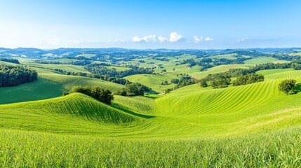 Obraz premium Rolling green hills and agricultural fields stretch across a rural landscape under a bright blue sky.