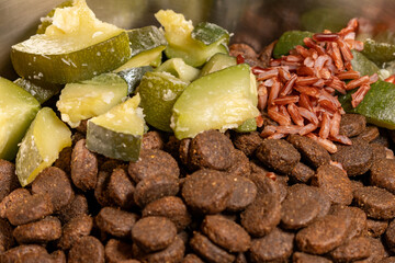 gamelle croquettes pour chiens, gamelles type ration ménagère avec croquettes, riz cuit, et légumes cuits