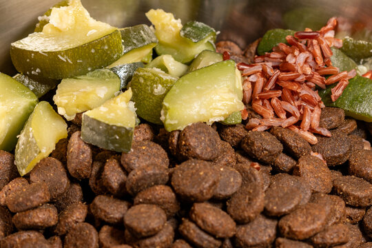 gamelle croquettes pour chiens, gamelles type ration m&eacute;nag&egrave;re avec croquettes, riz cuit, et l&eacute;gumes cuits