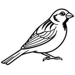 Obraz premium Birds Vector Illustrations with White Background - Cartoons, Clipart, Line Art Designs
