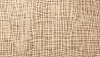 Rustic and Textured Authentic Burlap Jute Sackcloth on Woven Canvas Backdrop, Showcasing a Natural Warm Neutral Palette