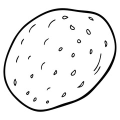 Root Vegetables Vector Illustration | Cartoons, Clipart, and Line Art Designs