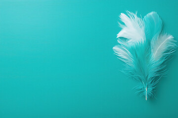 Colorful feathers arranged on a vibrant turquoise background for creative decoration ideas