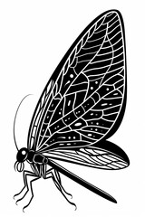 Insect illustration nature graphic design artistic environment close-up view detailed butterfly concept
