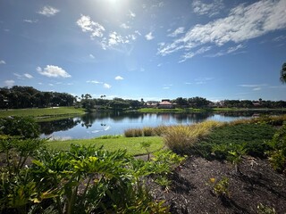 Water overview at the lake
