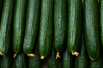 Background of fresh green cucumbers.
