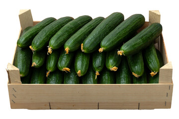Cucumbers in a wooden box isolated on a white background.