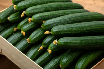Cucumber in a box in a store or market.