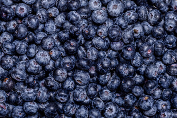 Background of fresh blueberry berries.