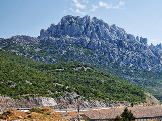 Rocky mountain landscape with lush green forest