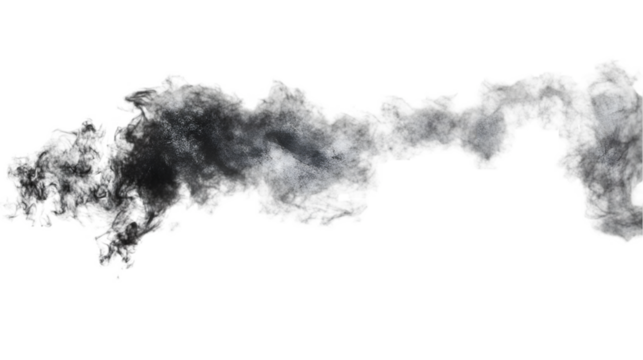 black and white dog running