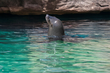 Obraz premium Generated image