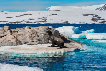 Fototapeta premium Generated image