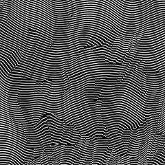 Minimalist Floral Line Art