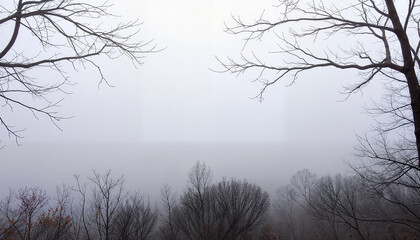 Obraz premium Misty forest landscape with bare trees in foggy winter