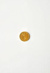 Golden coin with floral design on white background