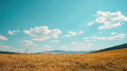 Obraz premium Idyllic Field on a Sunny Day