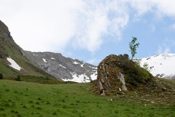 Rocky Outcrop with Alpine Vegetation Against Snow-Capped Mountains in Zillertal, Tirol, Austria