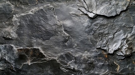 Fototapeta premium Rough Textured Black Marble