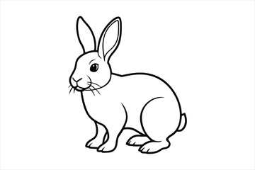  animals outline vector