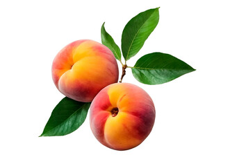 Ripe peaches with green leaves isolated on transparent background