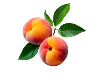 Ripe peaches with green leaves isolated on transparent background