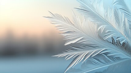 Elegant frosted window with intricate icy patterns and soft-focus winter scenery in the background 4