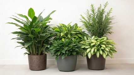 Obraz premium A medium closeup showing the integration of privacy foliage such as potted plants arranged strategically around the room offering both aesthetic value and a natural barrier for