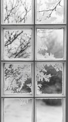 Beautiful frosty snowflakes forming delicate patterns on a cold winter windowpane 23