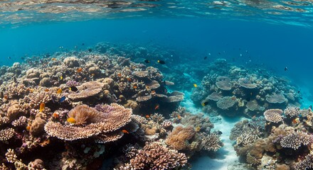 Obraz premium Vibrant Coral Reef Underwater Scene with Colorful Fish