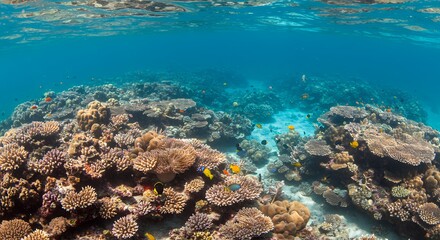 Fototapeta premium Vibrant Coral Reef Underwater Scene with Colorful Fish