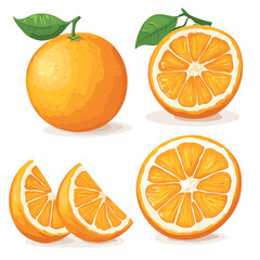 Fresh orange fruit whole and sliced wedges Design elements set watercolour style vector illustration isolated on a white background