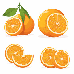 Fresh orange fruit whole and sliced wedges Design elements set watercolour style vector illustration isolated on a white background