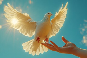 Obraz premium White Dove Taking Flight Towards a Hand, Sunlit Sky Background Symbol of Peace, Hope, and Freedom