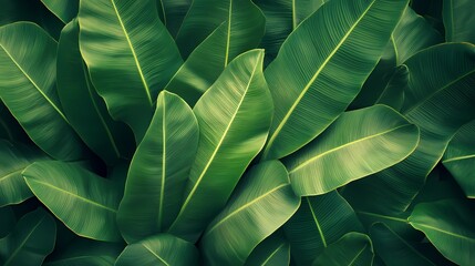 A Seamless Tropical Leaf Pattern in Vibrant Colors
