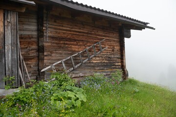 Weathered Wooden Alpine Cabin with Wildflowers in Foggy Austrian Alps