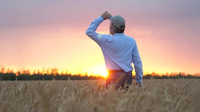 agriculture, wheat field, golden wheat farm field sunset, wheat field, business farm agriculture, agriculture, farmer ready devote life such important necessary cause growing wheat, close up face male