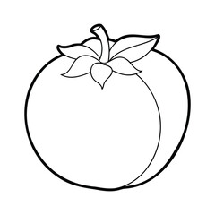 Black and white outline drawing of a persimmon