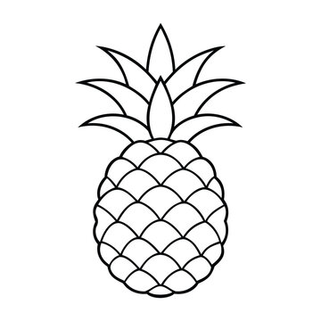 Black and white outline illustration of a pineapple with detailed leaves and texture