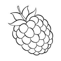 Black and white outline illustration of a raspberry with leaves