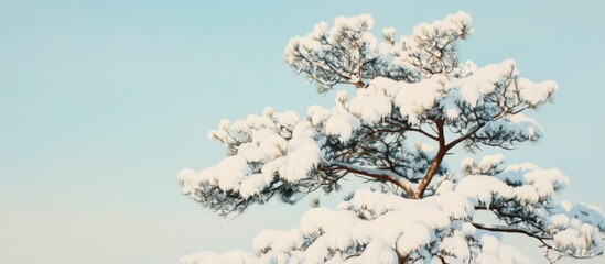 Snow-Covered Pine Tree Against Pale Blue Sky - Winter Wonderland