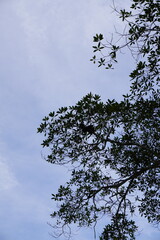 Paisajes al rededor del mundo