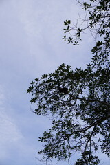 Paisajes al rededor del mundo