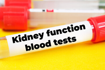 Kidney function blood tests text meaning analysis