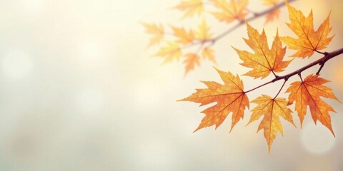 Fototapeta premium Autumnal Branch with Golden Leaves, a Serene Nature Image Perfect for Seasonal Designs and Fall-Themed Projects