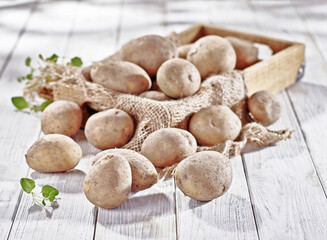 Ziemniaki surowe w tacy © Jolaya