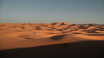 Camel trekking in erg chebbi dunes at sunset in merzouga desert, morocco