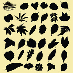 collection of leaf silhouettes with different shapes