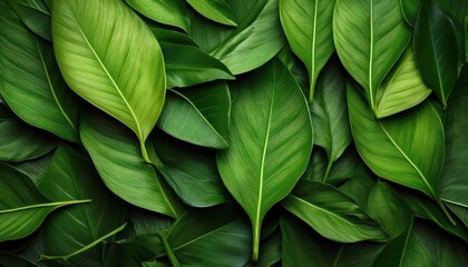 AIcrafted Masterpiece Vivid Autumn Leaves Pile, Showcasing Intricate Vein Structure and Crumpled Texture, Embracing the Warmth of Fall.