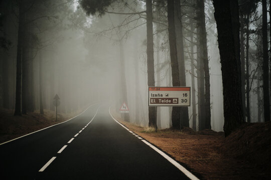 Mysterious foggy road winding through a dense forest.  A road sign points the way. Perfect for travel, adventure, and mystery themes.